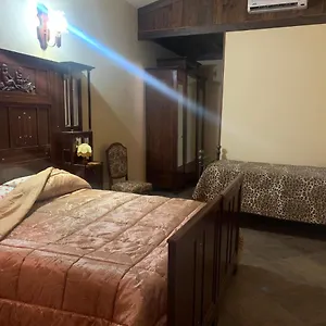  Bed & Breakfast Dal Fiocinino